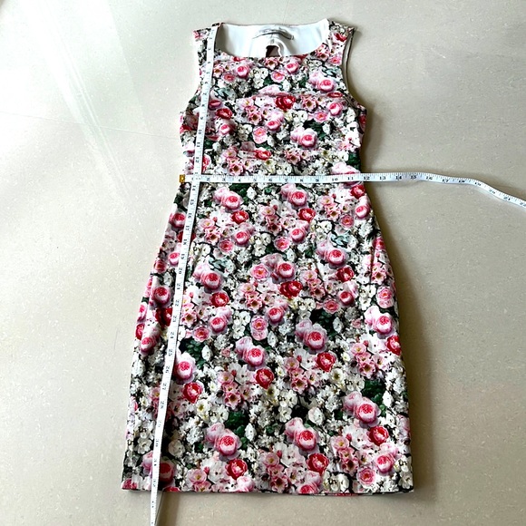 Zara Trafaluc Flower Dress 00 - Picture 6 of 9